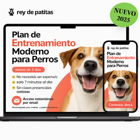 Entrenamiento Moderno Personalizado Para Perros